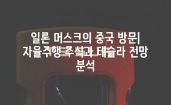 일론 머스크의 중국 방문| 자율주행 주식과 테슬라 전망 분석