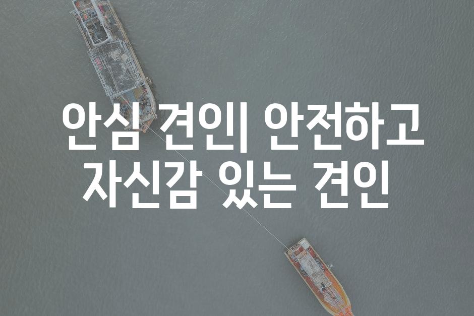 안심 견인| 안전하고 자신감 있는 견인