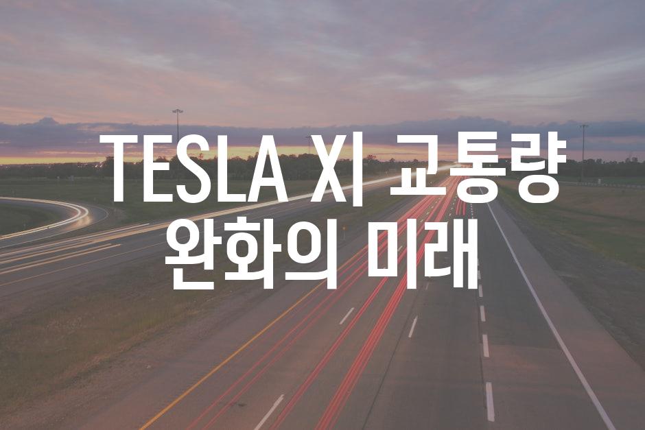  TESLA X| 교통량 완화의 미래