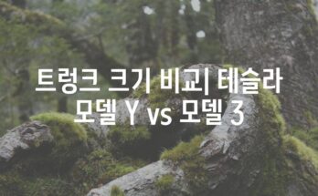 트렁크 크기 비교| 테슬라 모델 Y vs 모델 3