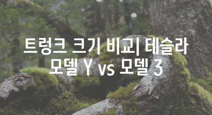 트렁크 크기 비교| 테슬라 모델 Y vs 모델 3