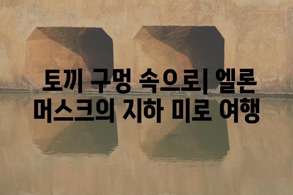  토끼 구멍 속으로| 엘론 머스크의 지하 미로 여행