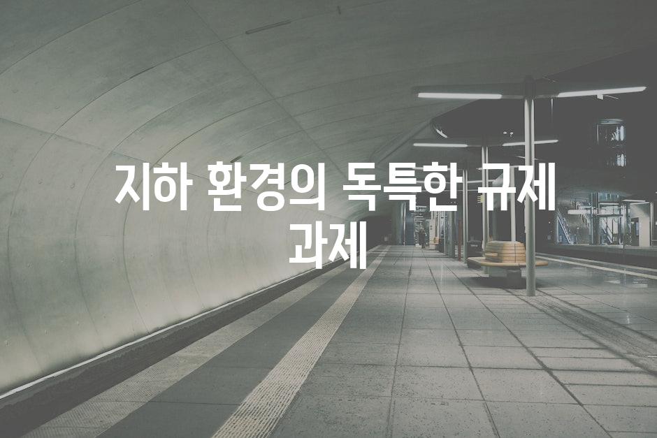  지하 환경의 독특한 규제 과제