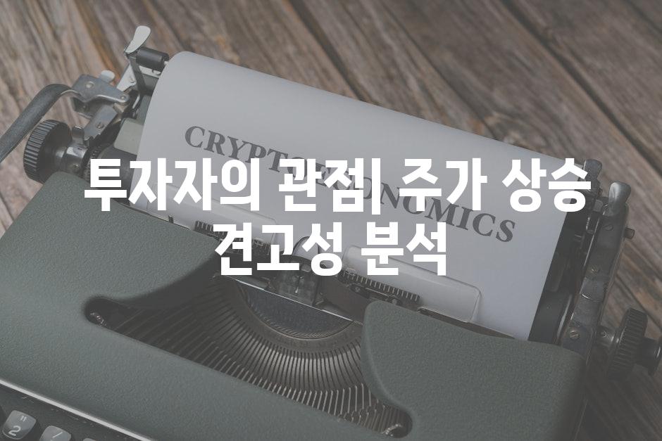  투자자의 관점| 주가 상승 견고성 분석