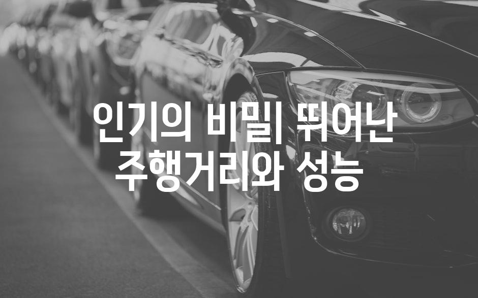  인기의 비밀| 뛰어난 주행거리와 성능