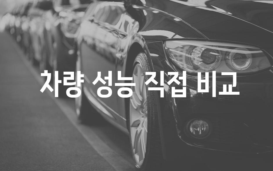  차량 성능 직접 비교