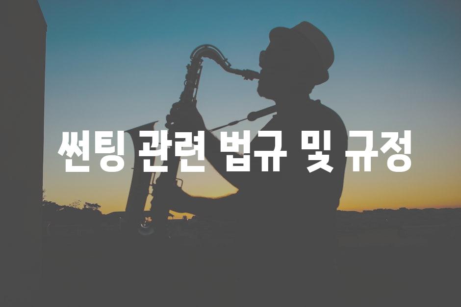  썬팅 관련 법규 및 규정