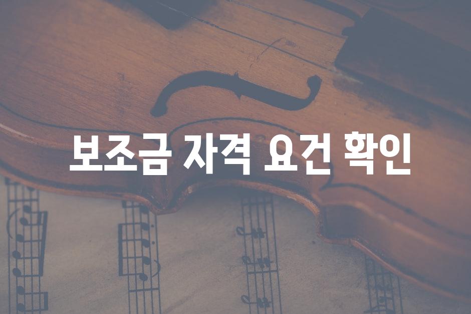  보조금 자격 요건 확인