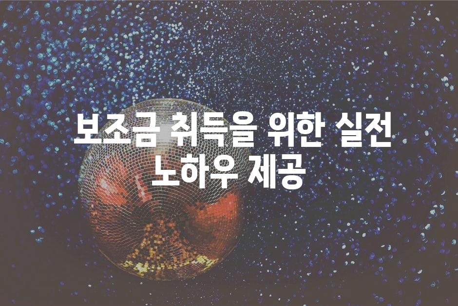  보조금 취득을 위한 실전 노하우 제공