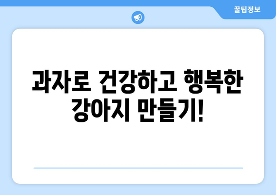 강아지 소화 건강 개선! 과자로 배변 문제 해결하기 | 강아지 과자, 소화 지원, 배변 문제, 건강 팁