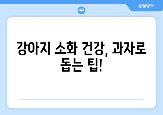 강아지 소화 건강 개선! 과자로 배변 문제 해결하기 | 강아지 과자, 소화 지원, 배변 문제, 건강 팁