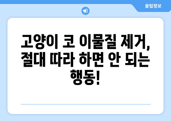 고양이 코 이물질 제거| 증상, 절차, 위험 | 응급처치, 안전 가이드, 동물병원