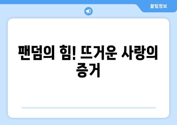 임영웅, 솔로랭킹 83주 연속 1위! 독보적인 인기의 비결은? | 임영웅, 솔로랭킹, 인기 비결, 팬덤