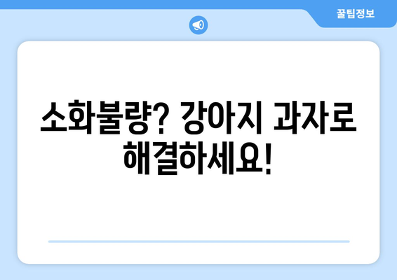 강아지 소화 건강 개선! 과자로 배변 문제 해결하기 | 강아지 과자, 소화 지원, 배변 문제, 건강 팁