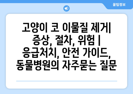 고양이 코 이물질 제거| 증상, 절차, 위험 | 응급처치, 안전 가이드, 동물병원