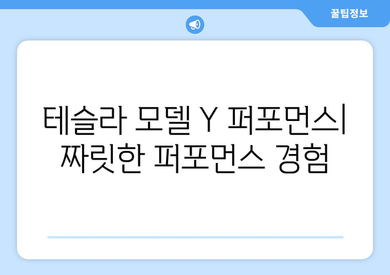 테슬라 모델 Y 퍼포먼스| 빠른 출고 가능 |  지금 바로 예약하고 꿈의 드라이빙을 경험하세요!