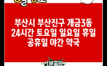 부산시 부산진구 개금3동 24시간 토요일 일요일 휴일 공휴일 야간 약국