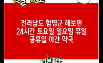 전라남도 함평군 해보면 24시간 토요일 일요일 휴일 공휴일 야간 약국