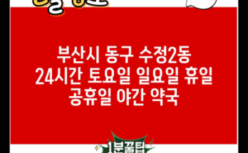 부산시 동구 수정2동 24시간 토요일 일요일 휴일 공휴일 야간 약국