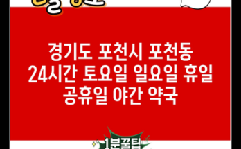 경기도 포천시 포천동 24시간 토요일 일요일 휴일 공휴일 야간 약국