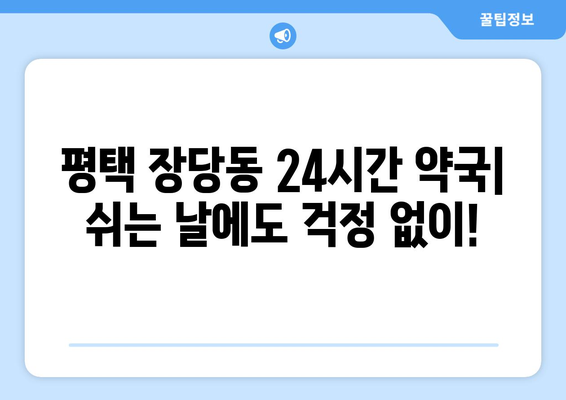 경기도 평택시 장당동 24시간 토요일 일요일 휴일 공휴일 야간 약국