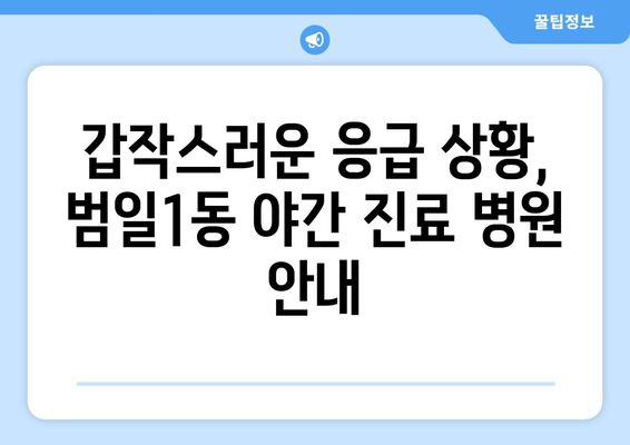 부산시 동구 범일1동 일요일 휴일 공휴일 야간 진료병원 리스트