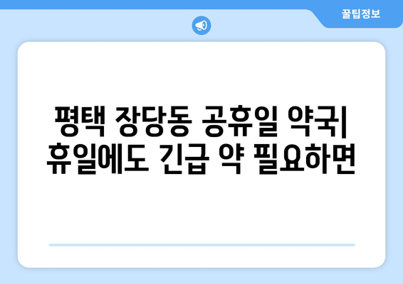 경기도 평택시 장당동 24시간 토요일 일요일 휴일 공휴일 야간 약국