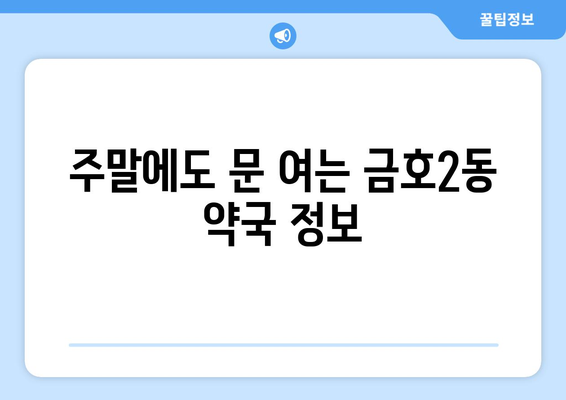 광주시 서구 금호2동 24시간 토요일 일요일 휴일 공휴일 야간 약국