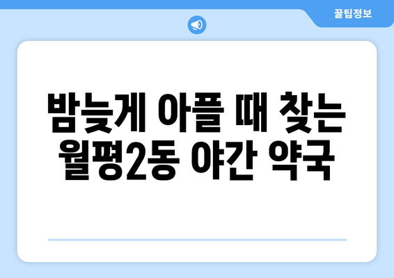 대전시 서구 월평2동 24시간 토요일 일요일 휴일 공휴일 야간 약국