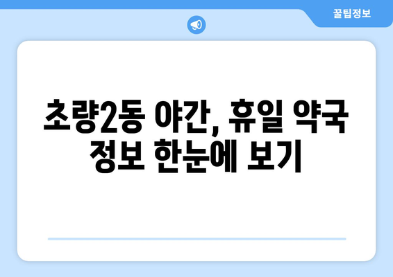 부산시 동구 초량2동 24시간 토요일 일요일 휴일 공휴일 야간 약국