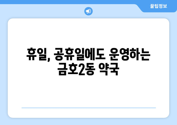 광주시 서구 금호2동 24시간 토요일 일요일 휴일 공휴일 야간 약국