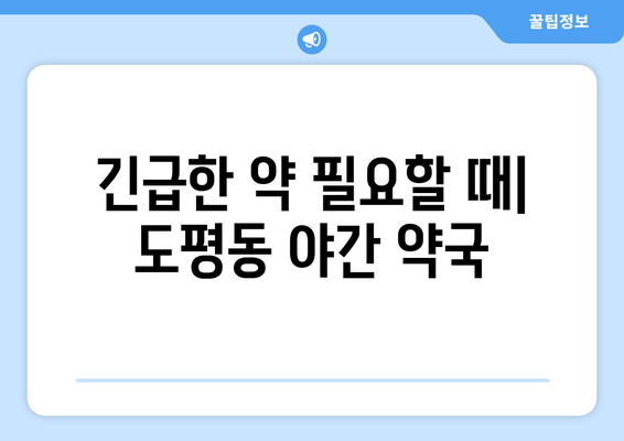 대구시 동구 도평동 24시간 토요일 일요일 휴일 공휴일 야간 약국