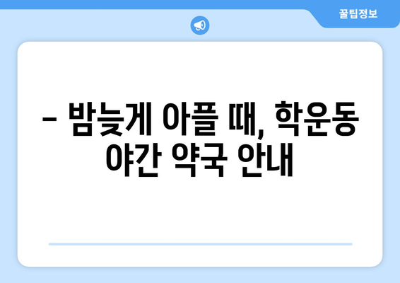 광주시 동구 학운동 24시간 토요일 일요일 휴일 공휴일 야간 약국