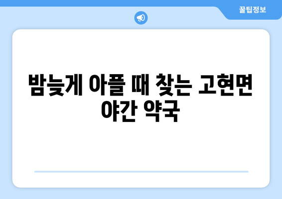 경상남도 남해군 고현면 24시간 토요일 일요일 휴일 공휴일 야간 약국