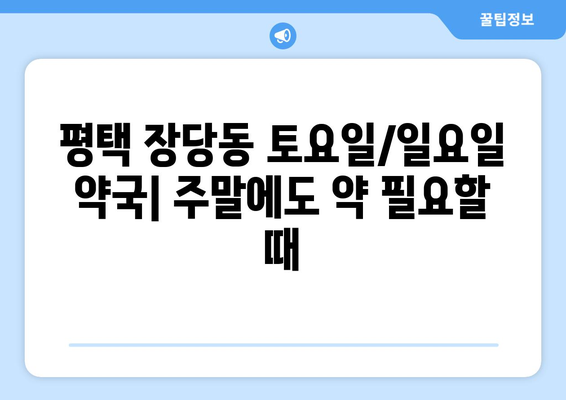 경기도 평택시 장당동 24시간 토요일 일요일 휴일 공휴일 야간 약국