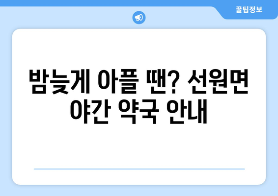 인천시 강화군 선원면 24시간 토요일 일요일 휴일 공휴일 야간 약국