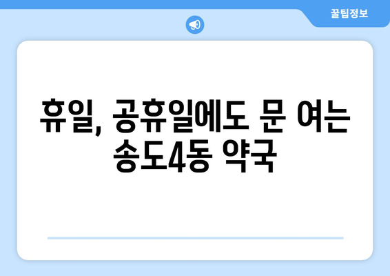 인천시 연수구 송도4동 24시간 토요일 일요일 휴일 공휴일 야간 약국