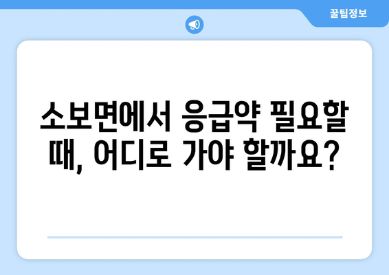 대구시 군위군 소보면 24시간 토요일 일요일 휴일 공휴일 야간 약국