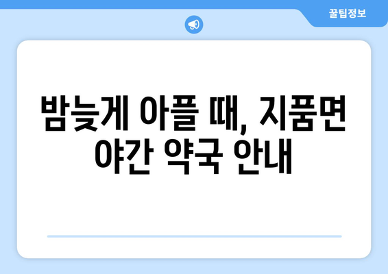 경상북도 영덕군 지품면 24시간 토요일 일요일 휴일 공휴일 야간 약국