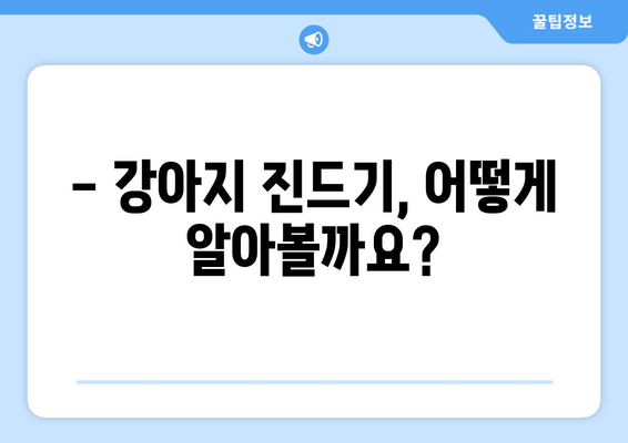 강아지 진드기, 걱정 마세요! 🐶  확인부터 제거까지 완벽 가이드 | 진드기 종류, 증상, 예방