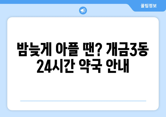 부산시 부산진구 개금3동 24시간 토요일 일요일 휴일 공휴일 야간 약국