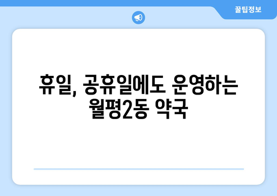 대전시 서구 월평2동 24시간 토요일 일요일 휴일 공휴일 야간 약국