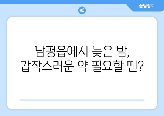 전라남도 나주시 남평읍 24시간 토요일 일요일 휴일 공휴일 야간 약국