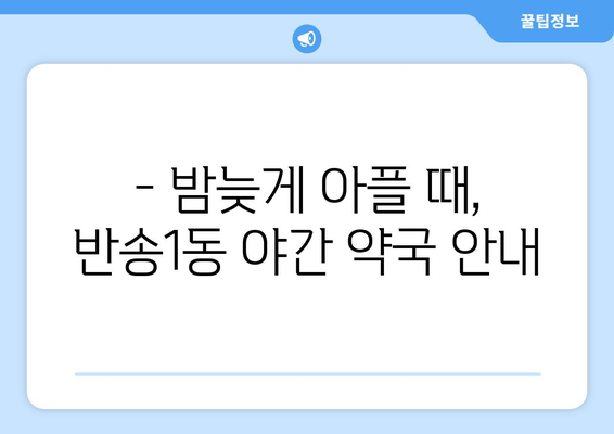 부산시 해운대구 반송1동 24시간 토요일 일요일 휴일 공휴일 야간 약국