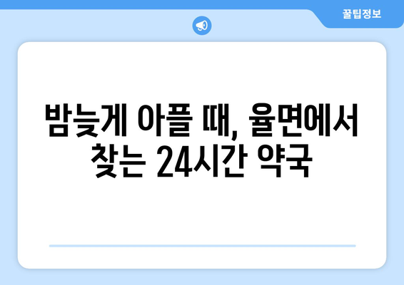 경기도 이천시 율면 24시간 토요일 일요일 휴일 공휴일 야간 약국