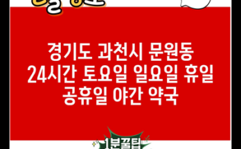 경기도 과천시 문원동 24시간 토요일 일요일 휴일 공휴일 야간 약국