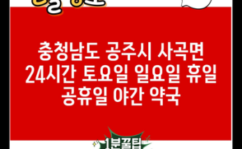 충청남도 공주시 사곡면 24시간 토요일 일요일 휴일 공휴일 야간 약국