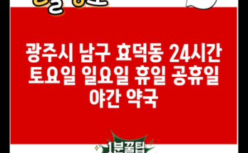 광주시 남구 효덕동 24시간 토요일 일요일 휴일 공휴일 야간 약국