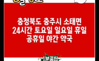 충청북도 충주시 소태면 24시간 토요일 일요일 휴일 공휴일 야간 약국