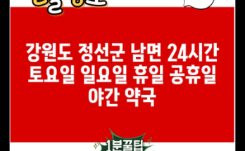 강원도 정선군 남면 24시간 토요일 일요일 휴일 공휴일 야간 약국